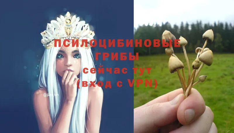 Галлюциногенные грибы Magic Shrooms  Джанкой 